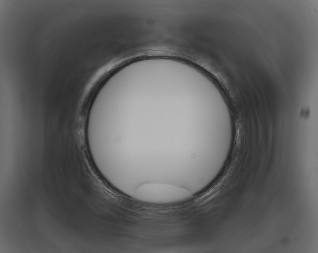 X0000097761454200803070825