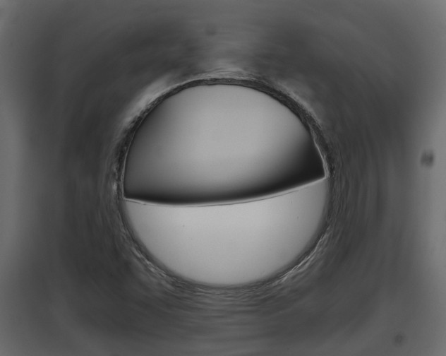X0000097761455200803070825