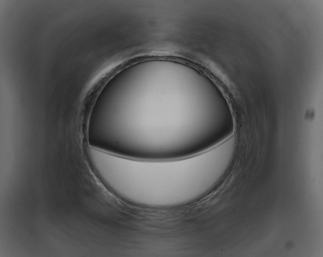 X0000097761456200803070825