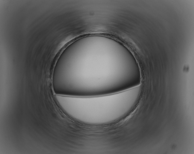 X0000097761457200803070825