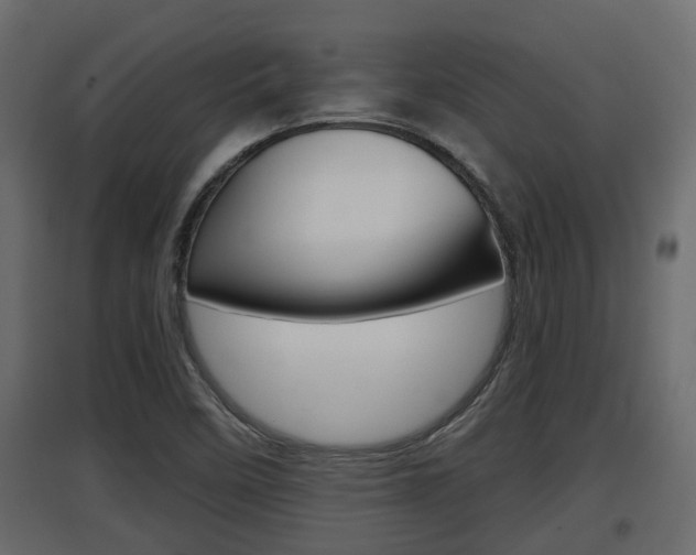 X0000097761458200803070825