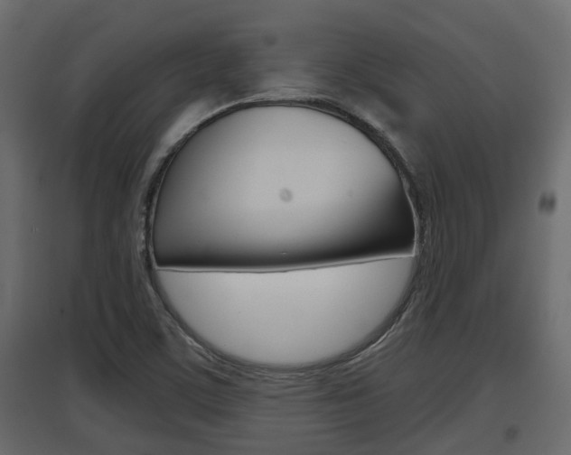 X0000097761459200803070825