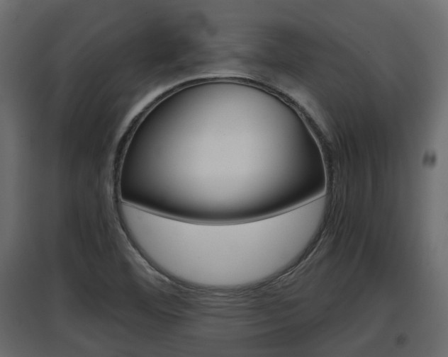 X0000097761460200803070825