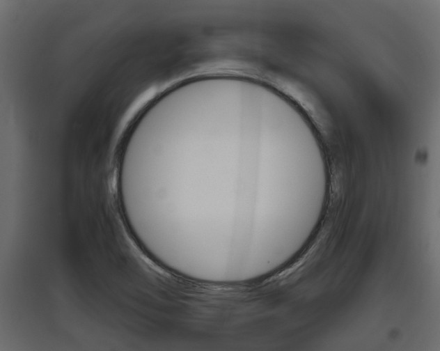 X0000097761462200803070825