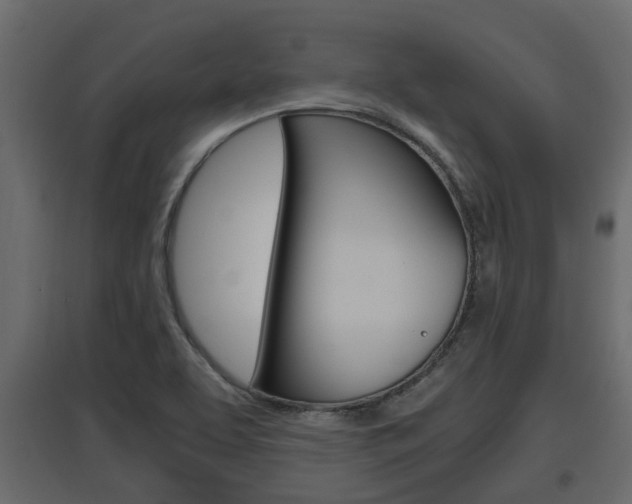X0000097761463200803070825