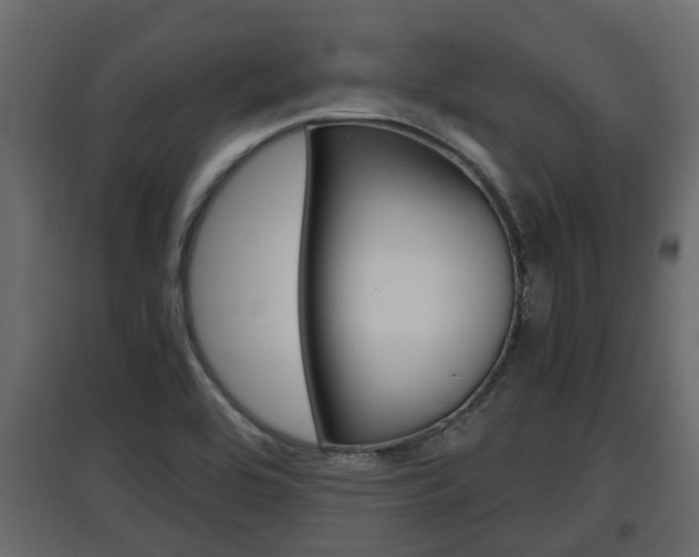 X0000097761464200803070825