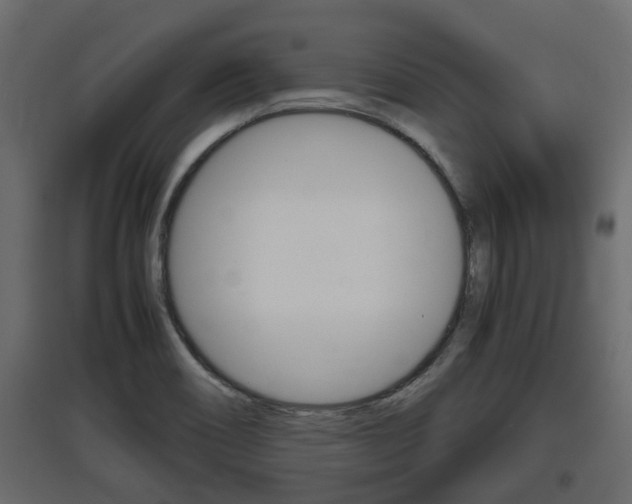 X0000097761466200803070825