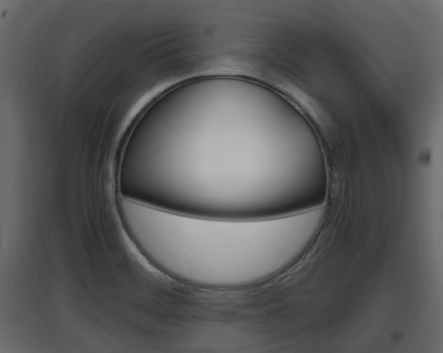 X0000097761468200803070825