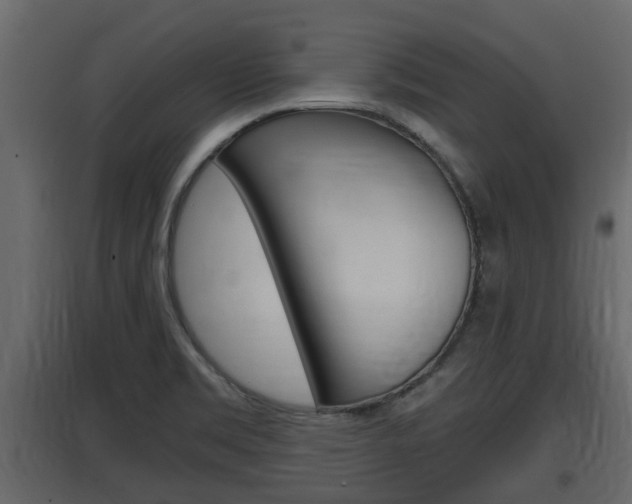 X0000097761469200803070825