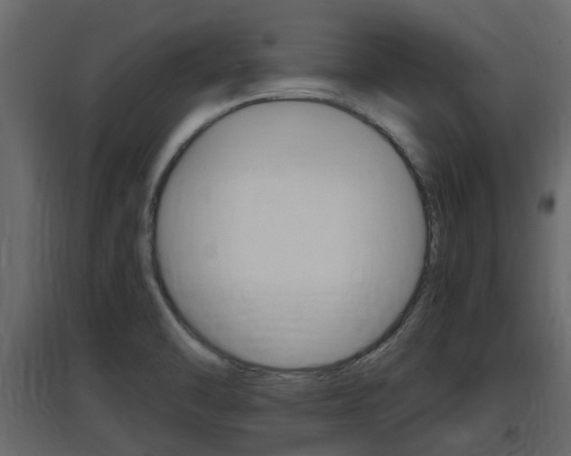 X0000097761470200803070825