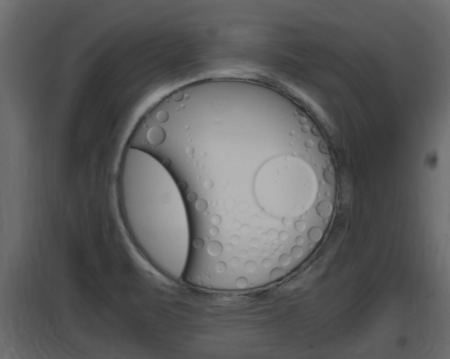 X0000097761471200803070825