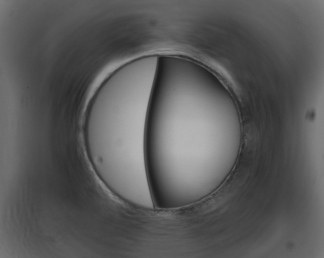 X0000097761472200803070825