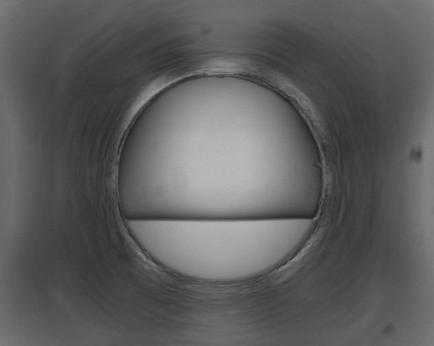 X0000097761473200803070825