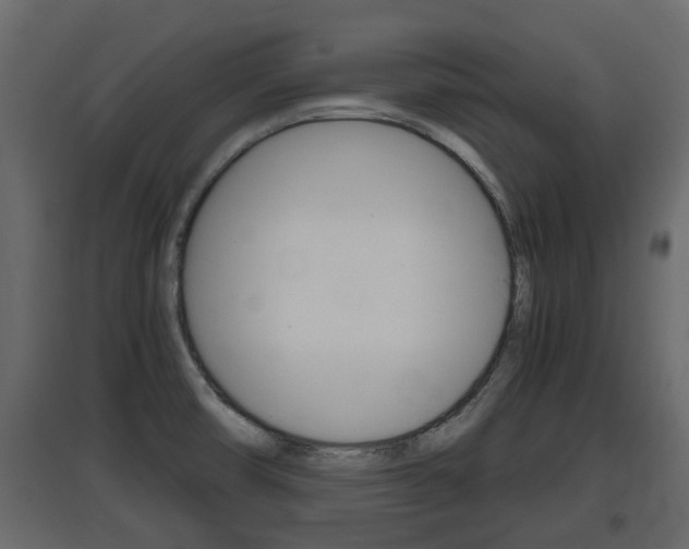 X0000097761474200803070825