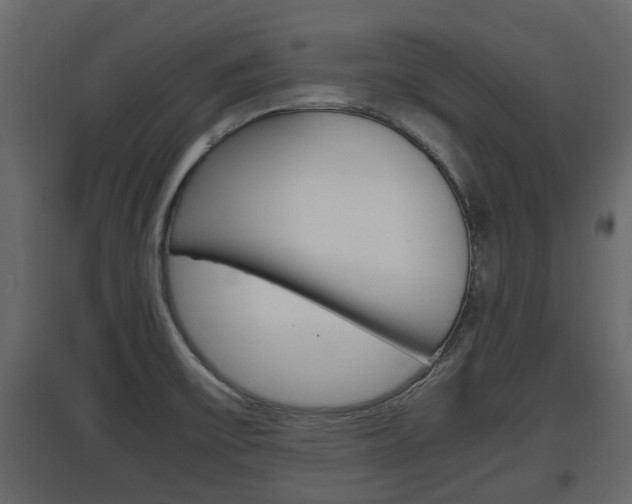 X0000097761475200803070825