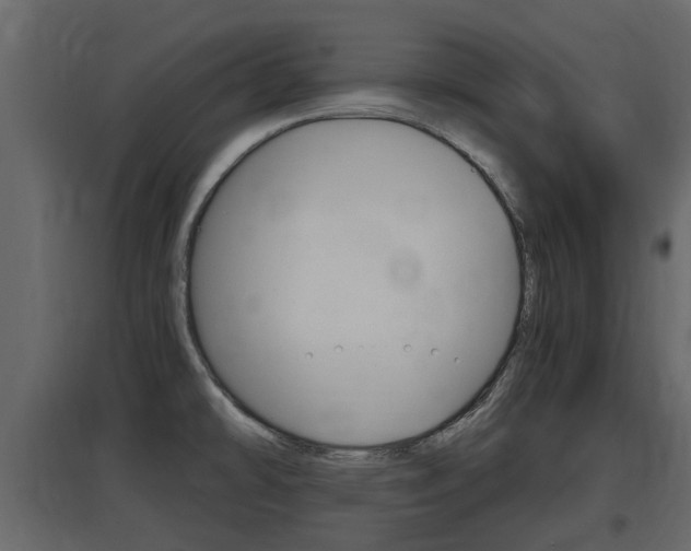 X0000097761478200803070825