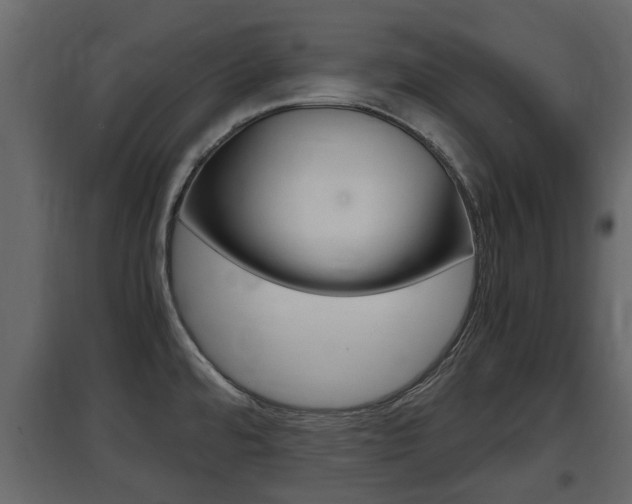 X0000097761480200803070825