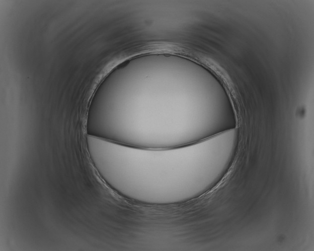 X0000097761481200803070825