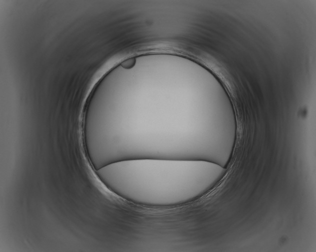 X0000097761482200803070825