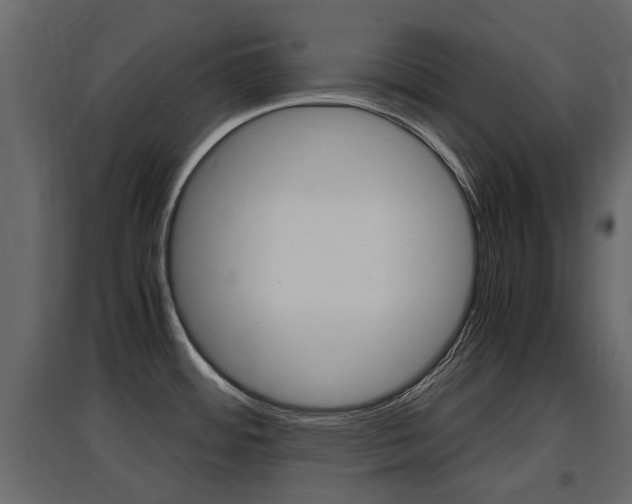 X0000097761484200803070825