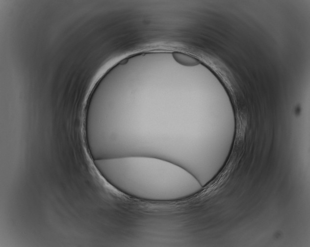 X0000097761486200803070825