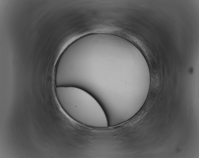 X0000097761487200803070825