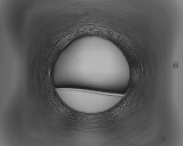 X0000097761489200803070824