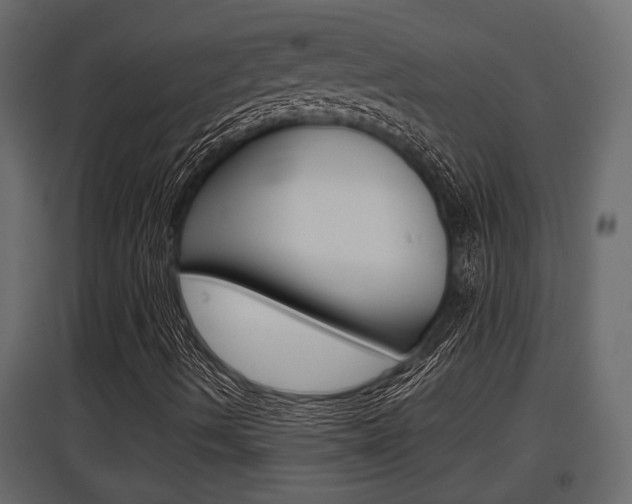 X0000097761490200803070824