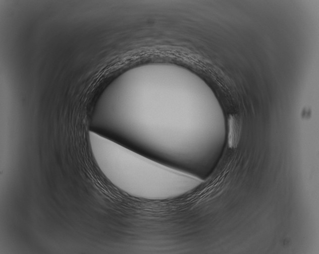 X0000097761491200803070824