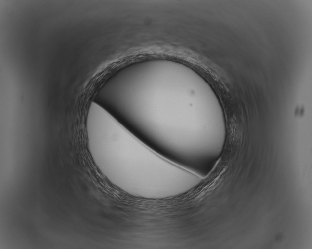 X0000097761494200803070824
