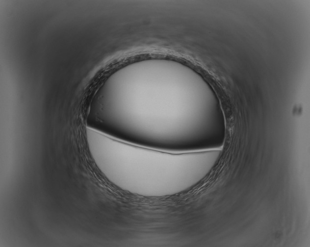 X0000097761495200803070824