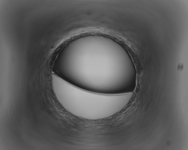 X0000097761496200803070824