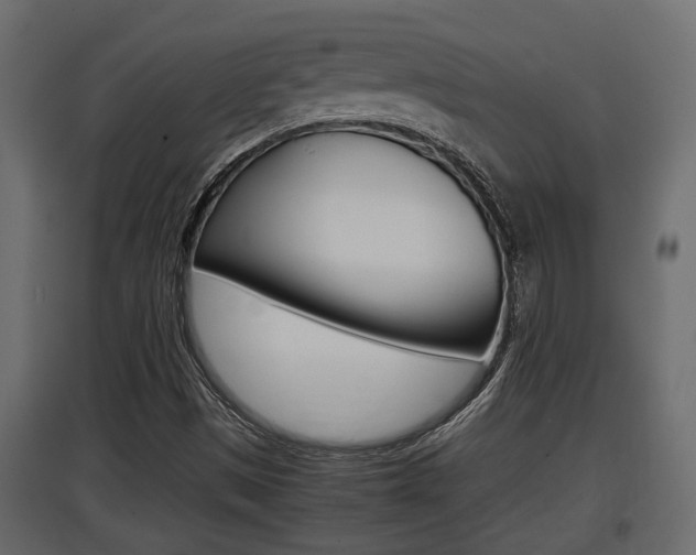 X0000097761497200803070824