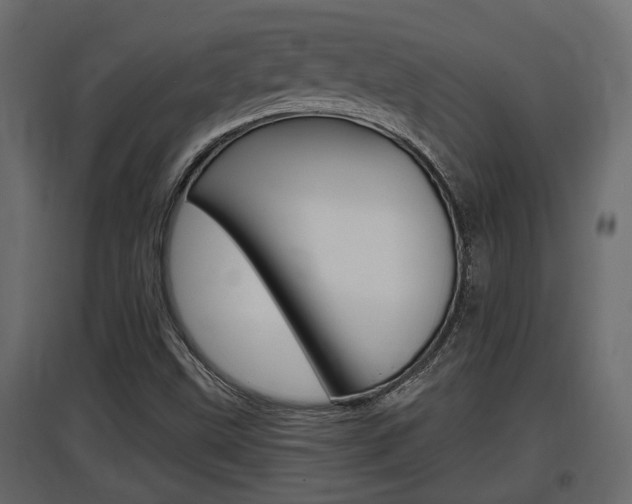 X0000097761499200803070824