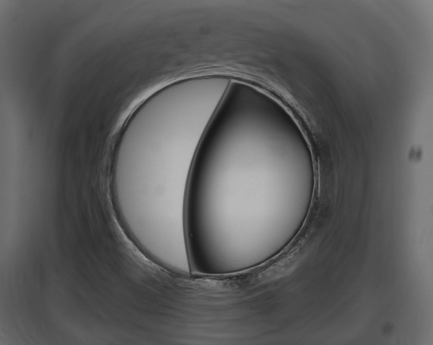X0000097761500200803070824