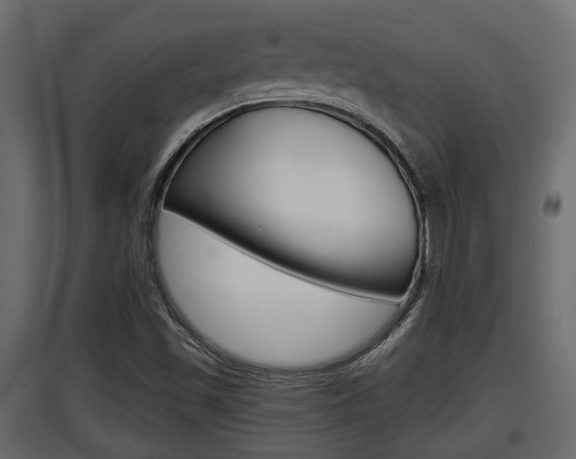 X0000097761501200803070824