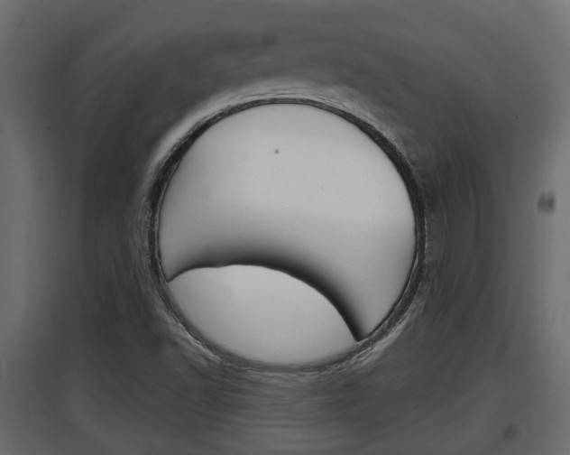 X0000097761502200803070824