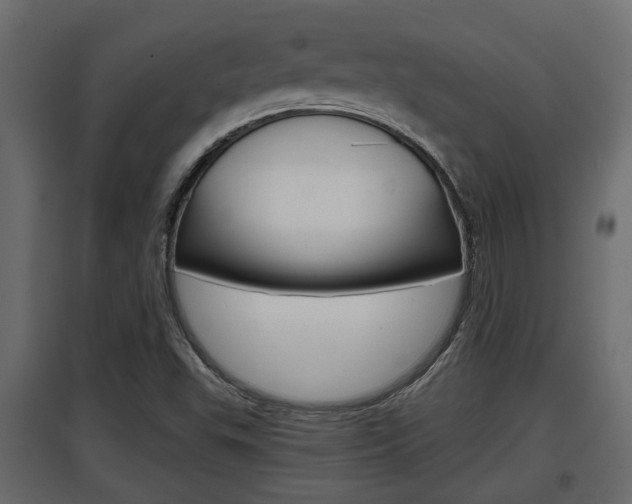 X0000097761503200803070824