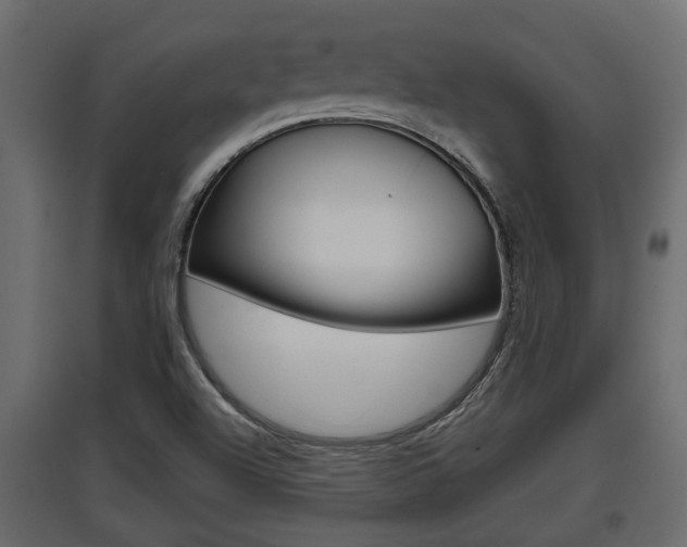 X0000097761504200803070824