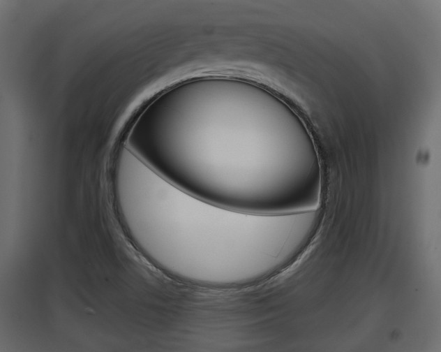 X0000097761506200803070824