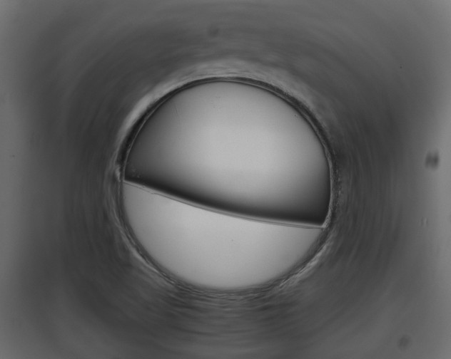 X0000097761509200803070825