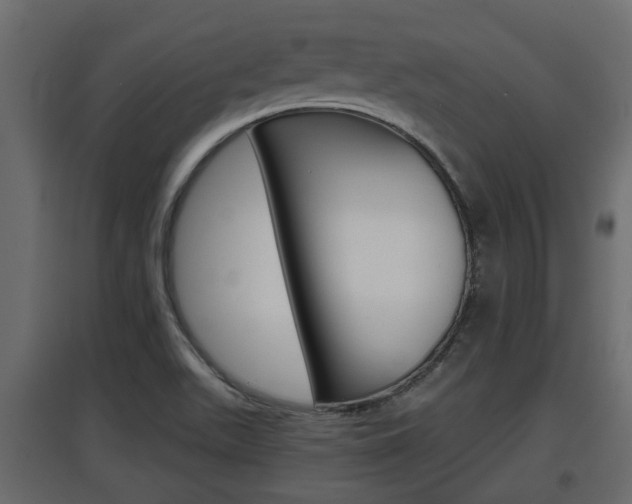 X0000097761511200803070825
