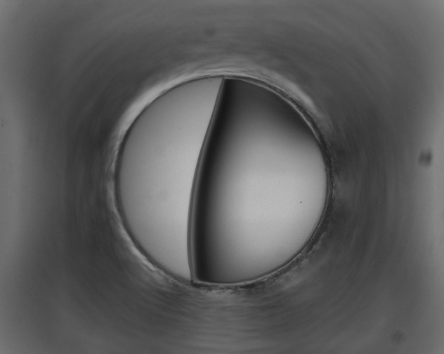 X0000097761512200803070825