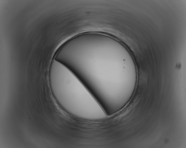 X0000097761513200803070825