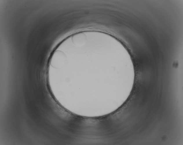 X0000097761514200803070825
