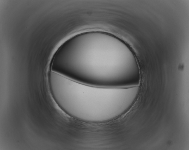 X0000097761516200803070825
