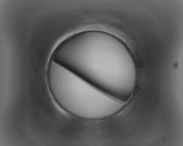 X0000097761519200803070825