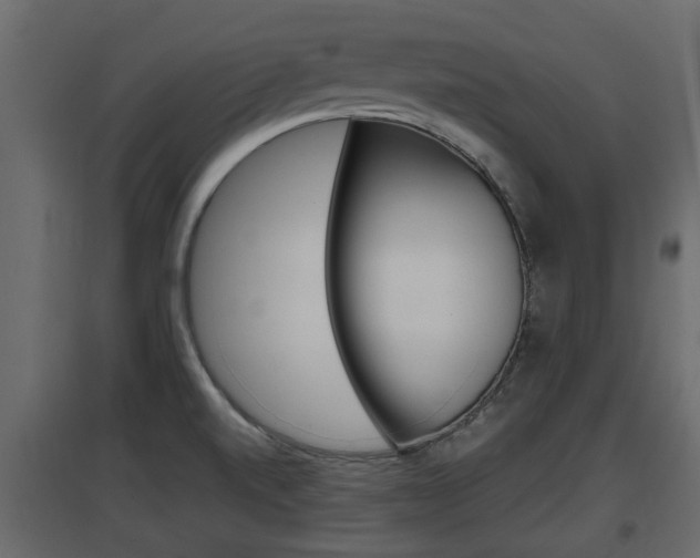 X0000097761520200803070825