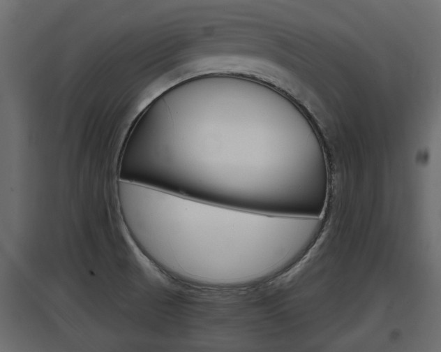 X0000097761521200803070825