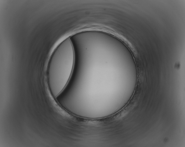 X0000097761522200803070825